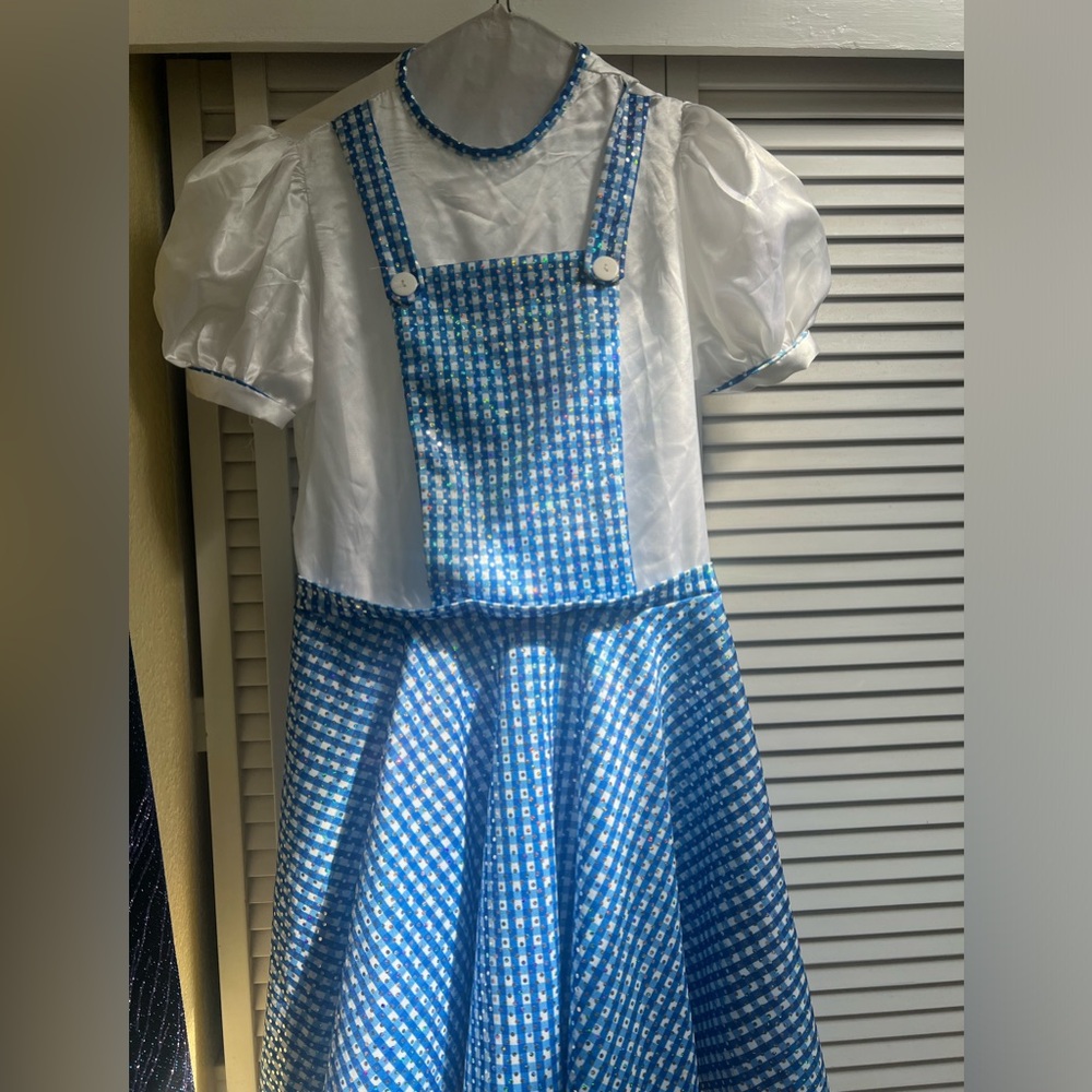 Wizard Of Oz Dorthy Sz 1X Costume